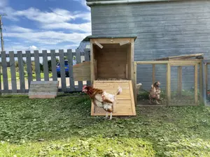 Chicken coop next to the property